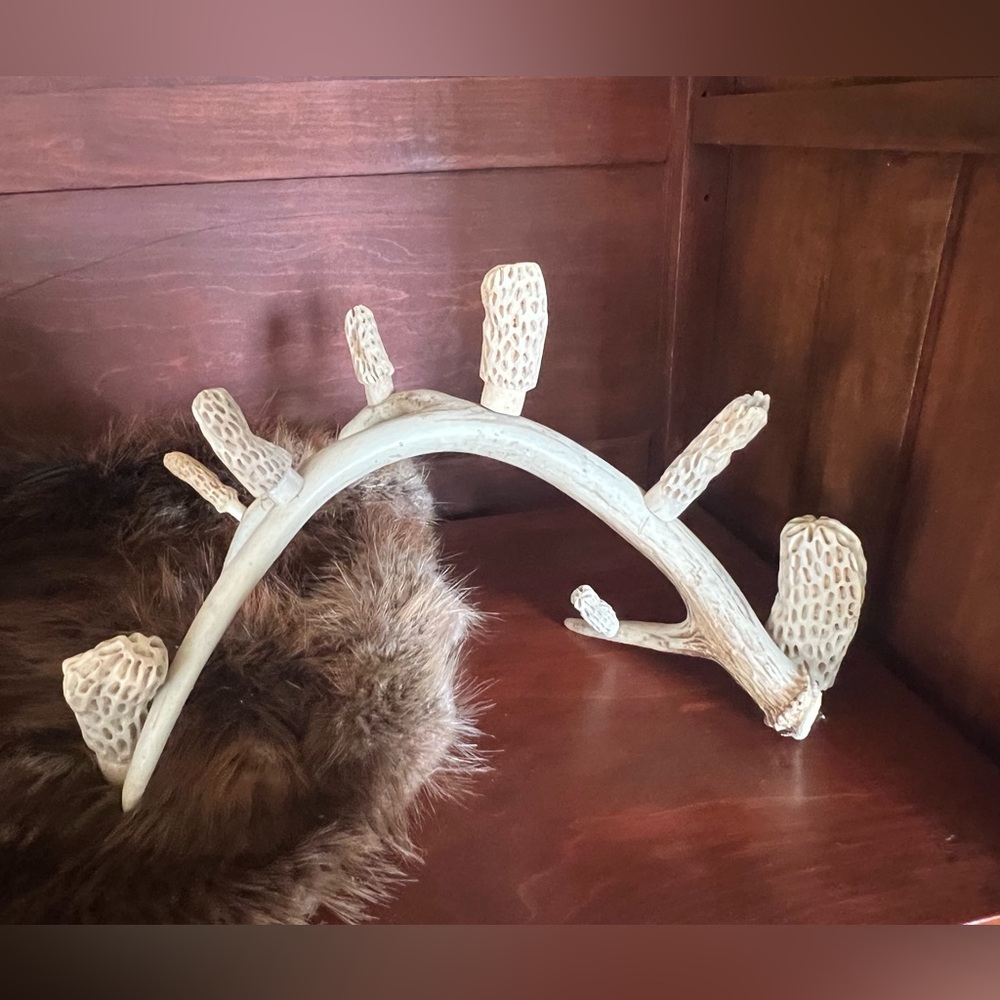 Folk Art Whitetail Shed Antler with hand carved morel mushrooms. - Picture 11 of 11
